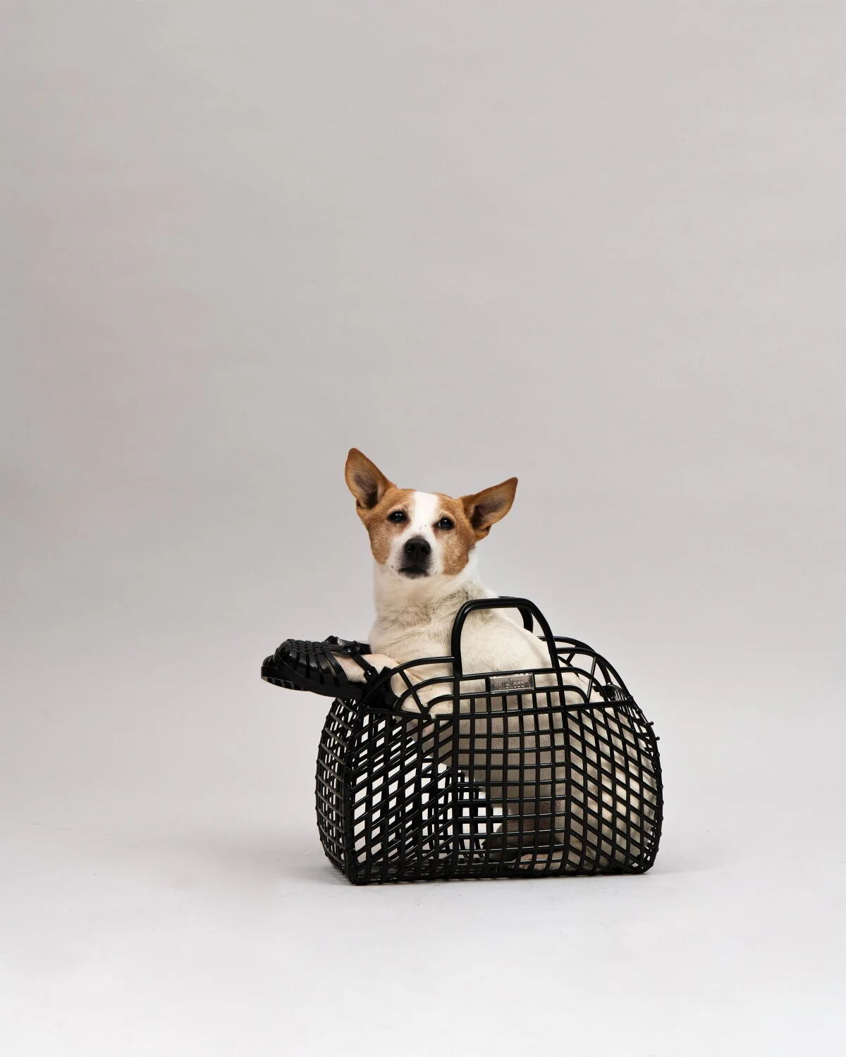 Mini Melissa Possession - Black - Image 2